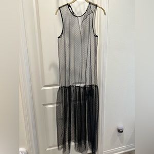 Zara sheer polka dot maxi dress